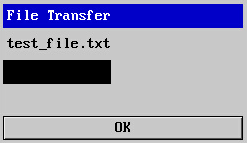 File Transfer Progress